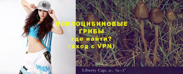 экстази Арсеньев